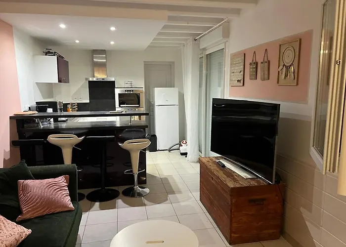 Petite Maison Agreable Climatisee * Nègrepelisse