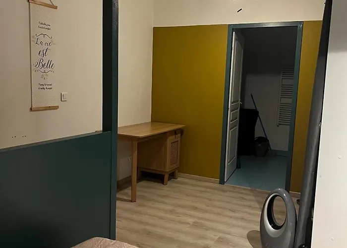 Petite Maison Agreable Climatisee Nègrepelisse